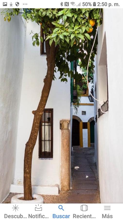 Centro-Mezquita 4 A 8 Huespedes Apartment กอร์โดบา ภายนอก รูปภาพ