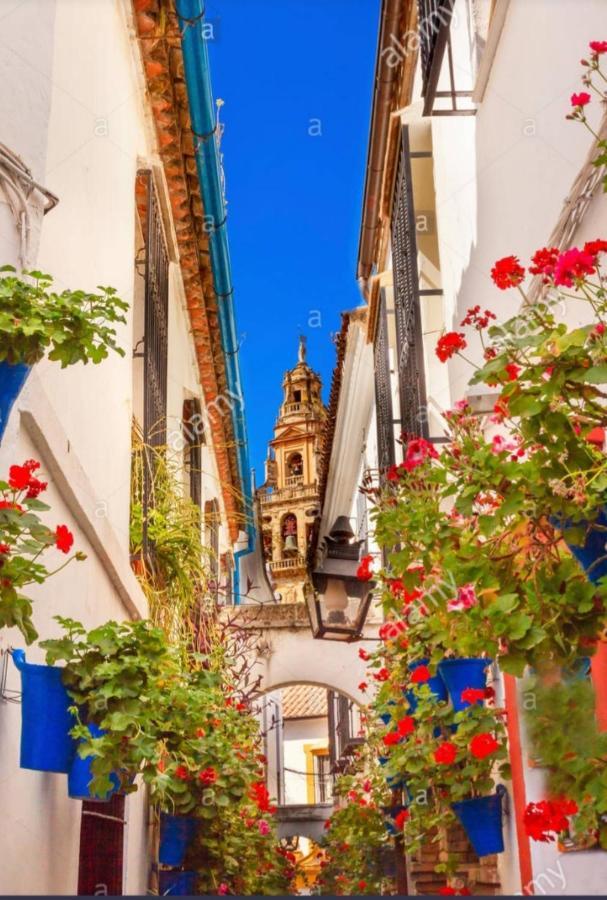 Centro-Mezquita 4 A 8 Huespedes Apartment กอร์โดบา ภายนอก รูปภาพ